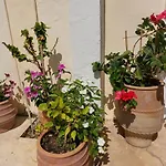 Cactus Apartman *
